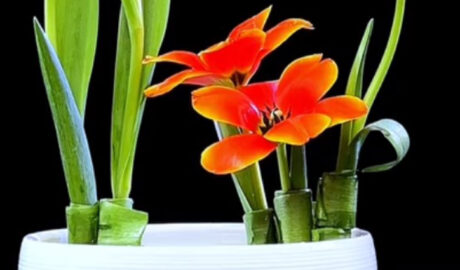 Videonávody, ako aranžovať jarné kvety do vázy