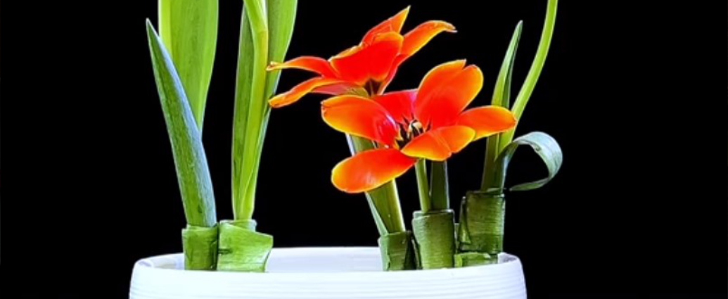 Videonávody, ako aranžovať jarné kvety do vázy